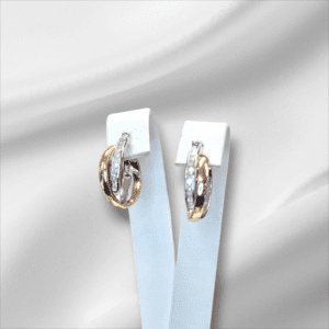 Two Tone Double Hoop Earrings